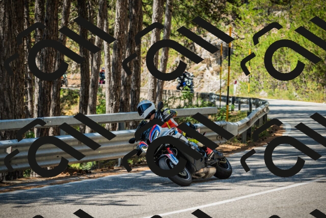 202508091206-DSC04456_c1_