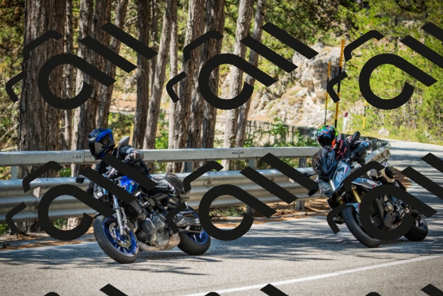 202508091207-DSC04460_c1_