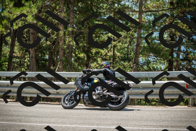 202508091207-DSC04464_c1_