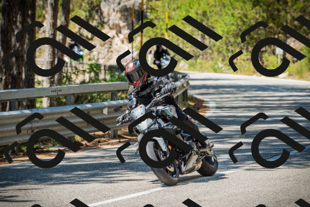 202508091207-DSC04466_c1_