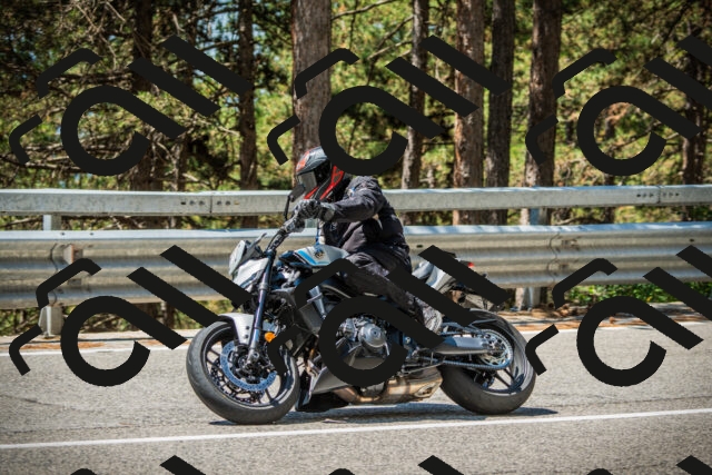 202508091207-DSC04467_c1_