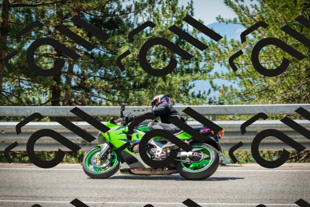 202508091207-DSC04471_c1_