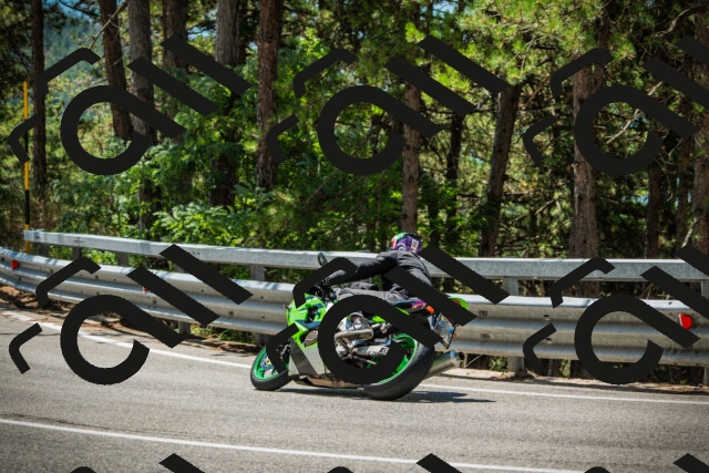 202508091207-DSC04472_c1_