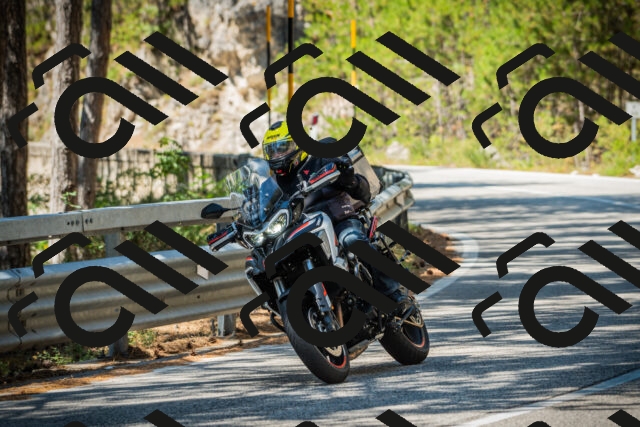 202508091208-DSC04473_c1_