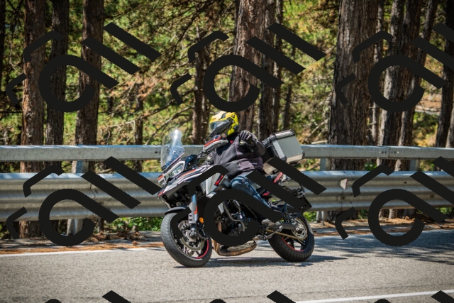 202508091208-DSC04474_c1_