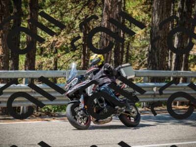 202508091208-DSC04474_c1_