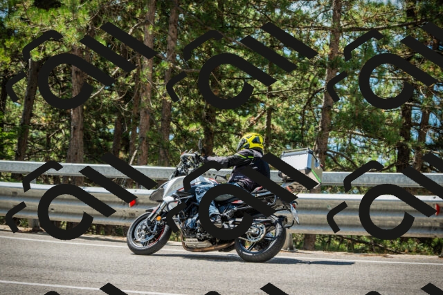 202508091208-DSC04476_c1_