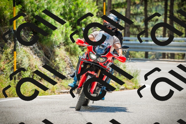 202508091210-DSC04478_c1_