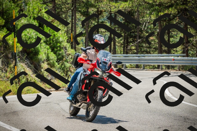 202508091210-DSC04479_c1_