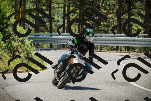 202508091210-DSC04484_c1_