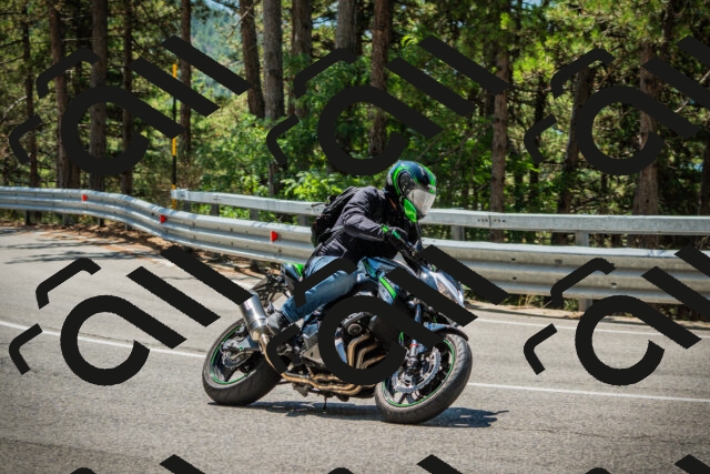 202508091210-DSC04485_c1_