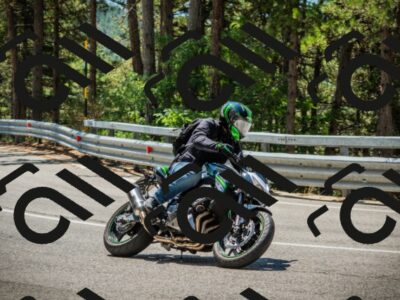 202508091210-DSC04485_c1_