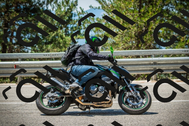 202508091210-DSC04486_c1_