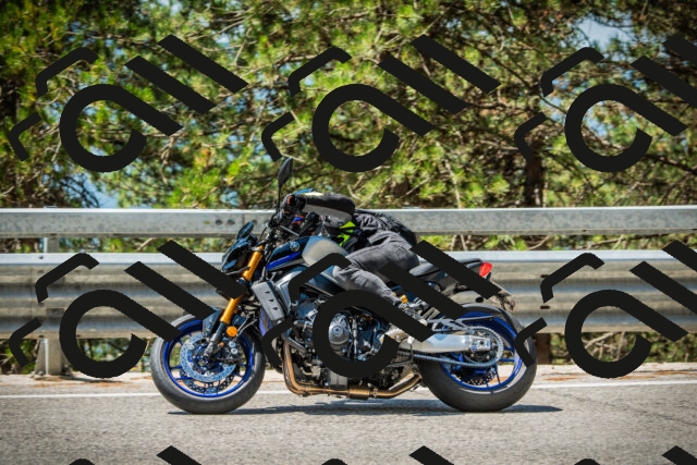 202508091210-DSC04487_c1_