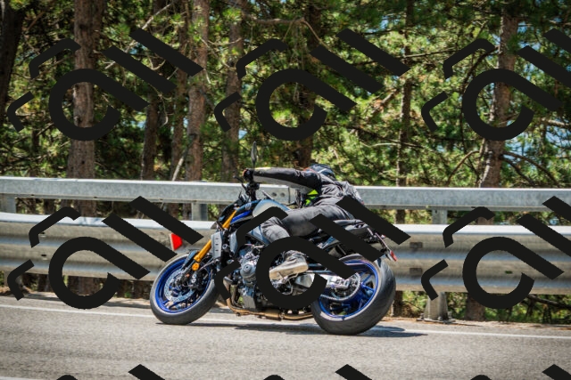 202508091210-DSC04488_c1_