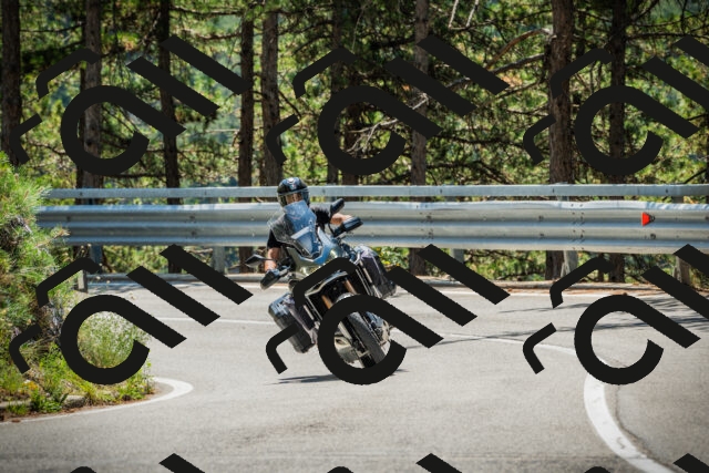 202508091210-DSC04491_c1_