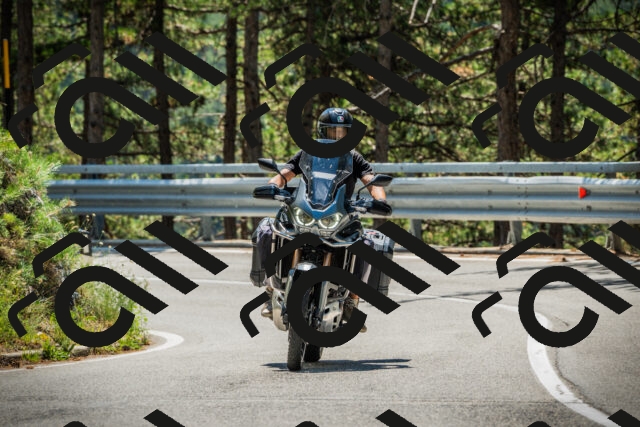 202508091210-DSC04492_c1_