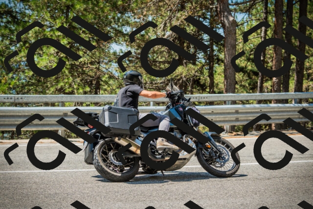 202508091210-DSC04496_c1_