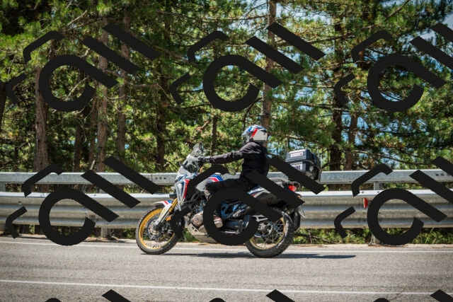 202508091210-DSC04498_c1_