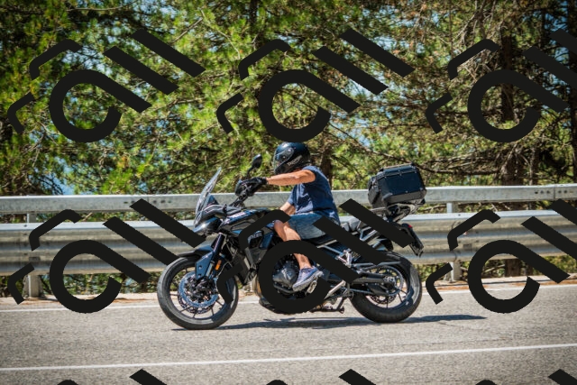 202508091211-DSC04503_c1_