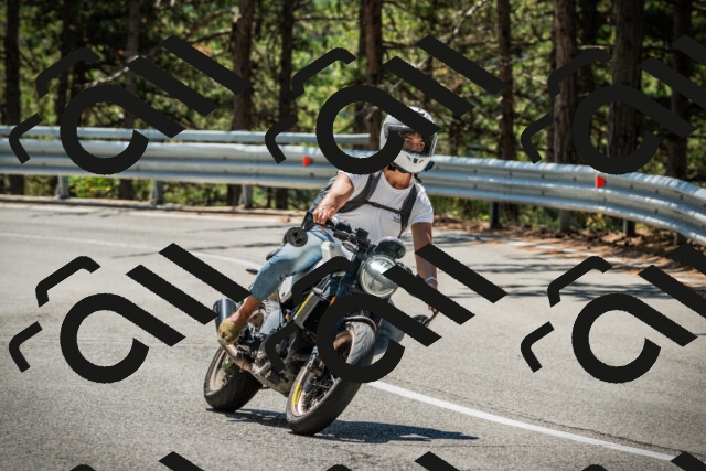 202508091212-DSC04512_c1_