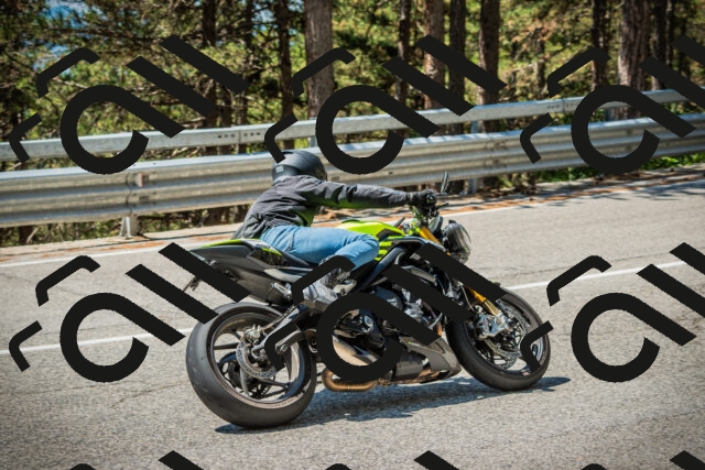 202508091212-DSC04516_c1_