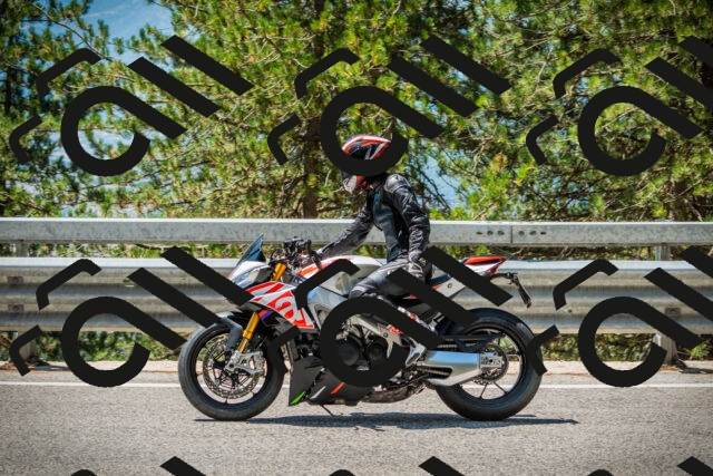 202508091212-DSC04521_c1_