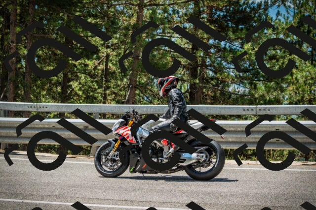 202508091212-DSC04522_c1_