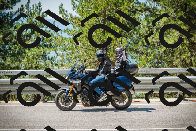 202508091212-DSC04523_c1_