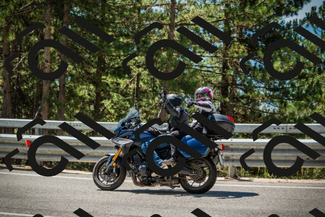 202508091212-DSC04524_c1_