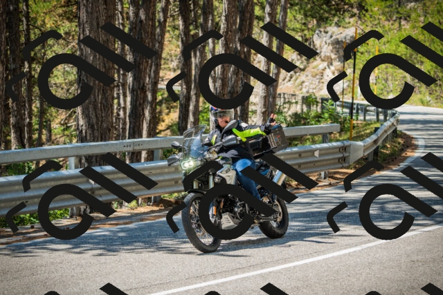 202508091213-DSC04526_c1_