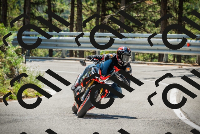 202508091215-DSC04531_c1_