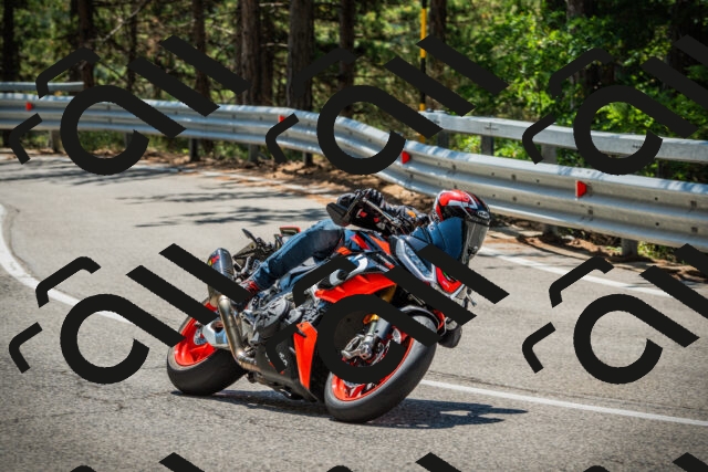 202508091215-DSC04532_c1_