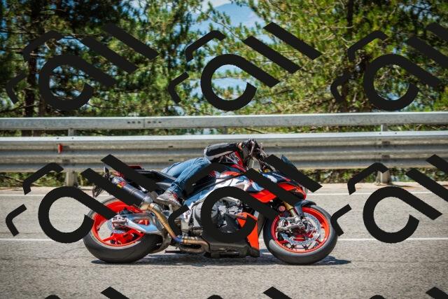 202508091215-DSC04533_c1_