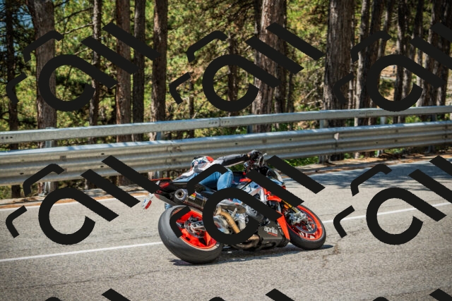 202508091215-DSC04534_c1_