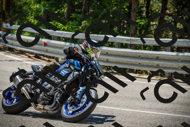 202508091215-DSC04535_c1_