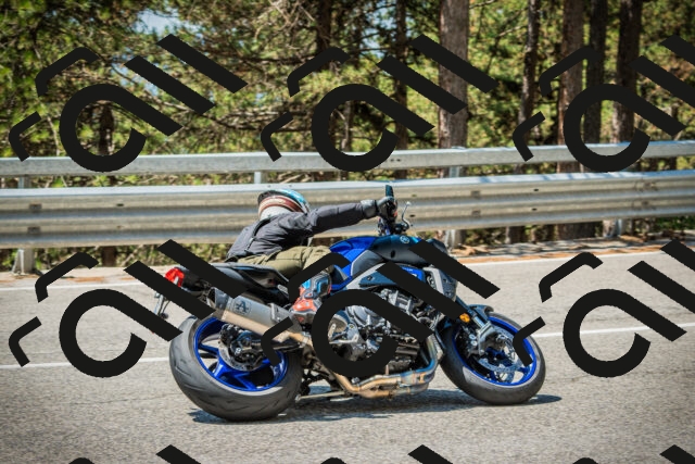 202508091215-DSC04536_c1_