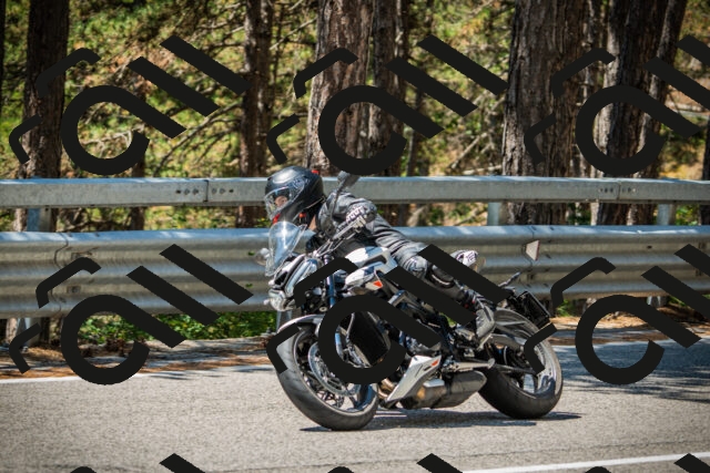 202508091216-DSC04538_c1_