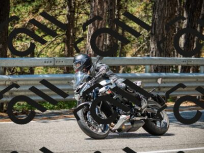 202508091216-DSC04538_c1_