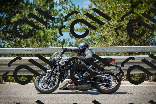 202508091216-DSC04539_c1_