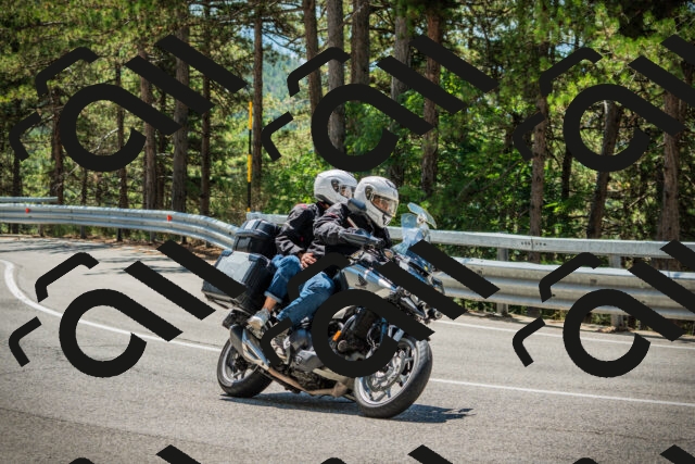 202508091217-DSC04544_c1_