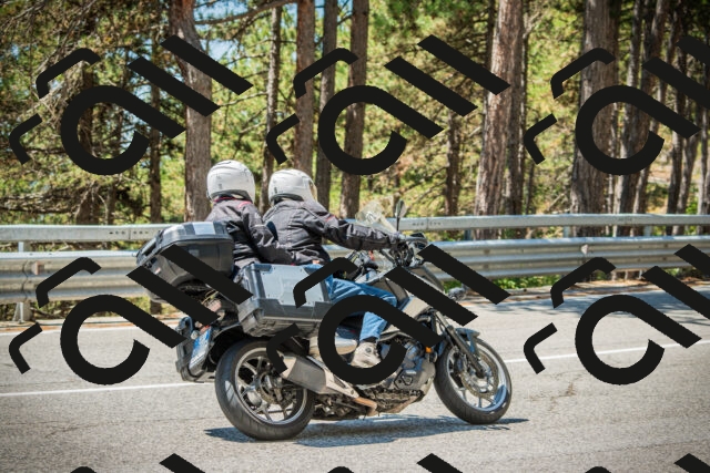 202508091217-DSC04546_c1_