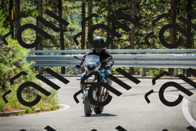 202508091218-DSC04553_c1_