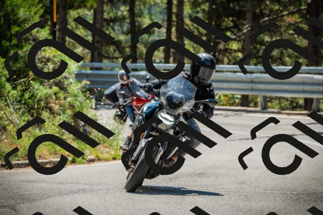 202508091218-DSC04554_c1_