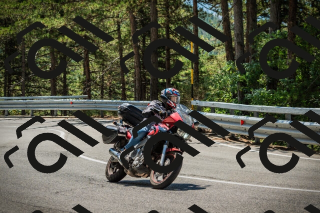 202508091218-DSC04557_c1_