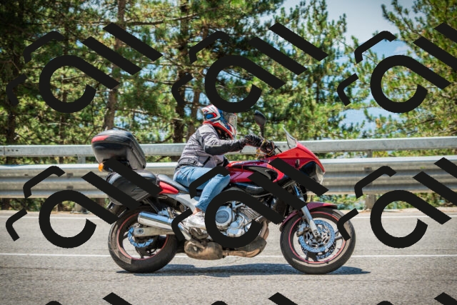 202508091218-DSC04558_c1_