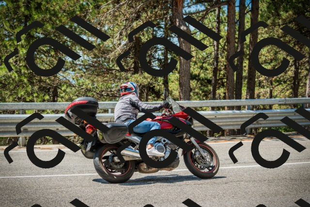 202508091218-DSC04559_c1_