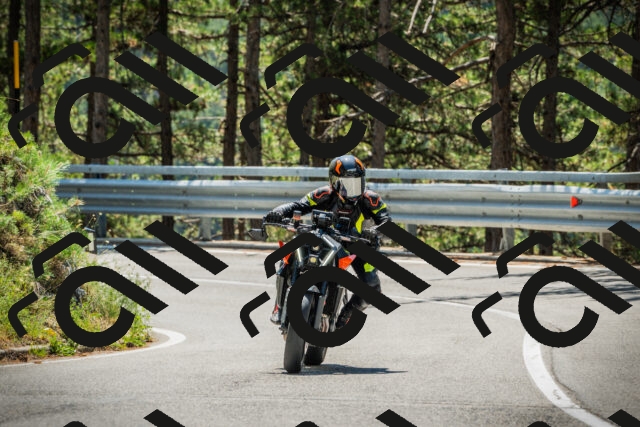 202508091219-DSC04560_c1_