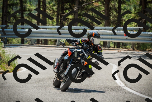 202508091219-DSC04561_c1_