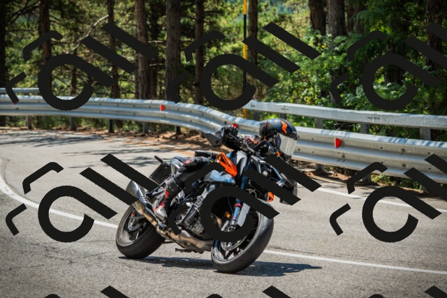 202508091219-DSC04562_c1_